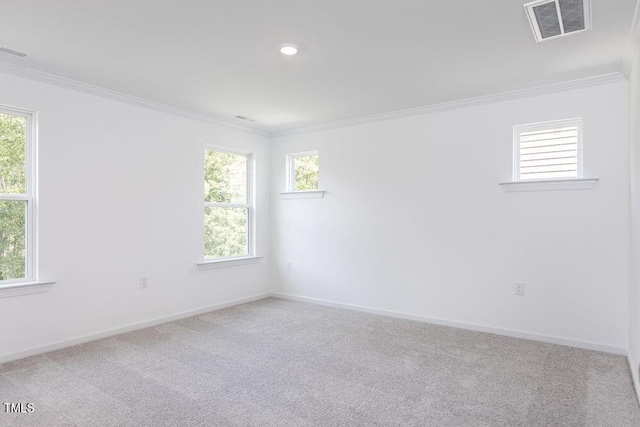 carpeted spare room with ornamental molding