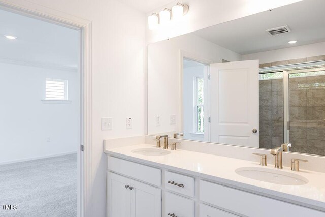 bathroom featuring a healthy amount of sunlight, an enclosed shower, and vanity