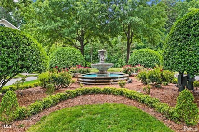 8305 Society Pl, Raleigh, NC 27615 - view of property's community