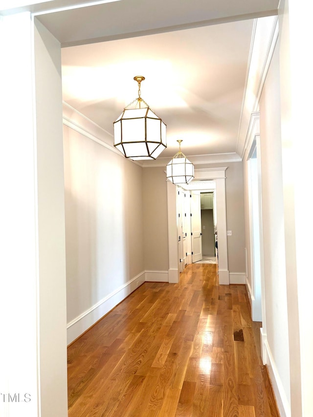 8305 Society Pl, Raleigh, NC 27615 - photo 6