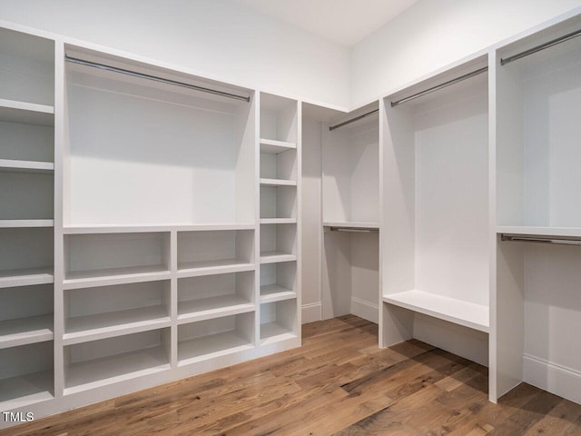 spacious closet featuring wood-type flooring