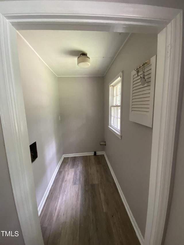 laundry room with dark hardwood / wood-style floors