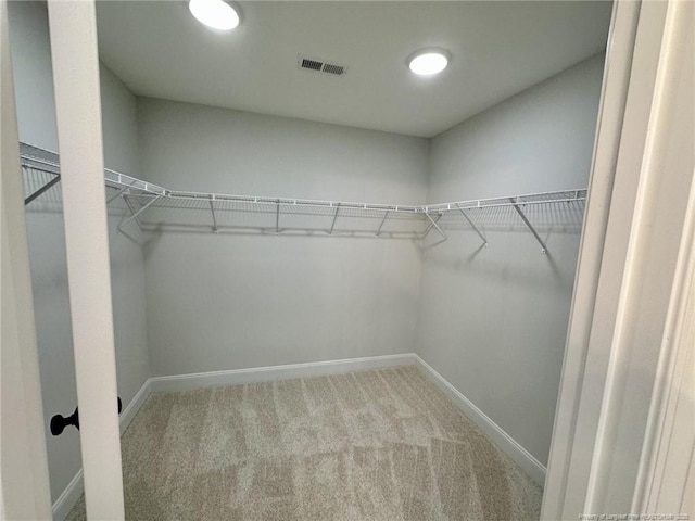 walk in closet featuring carpet floors