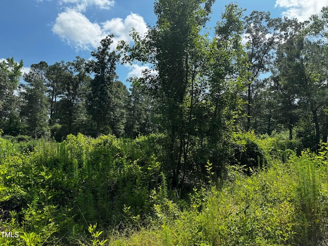 LOT10 Wildlife St, La Grange NC, 28551 land for sale