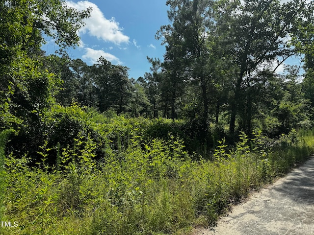 Listing photo 2 for LOT10 Wildlife St, La Grange NC 28551