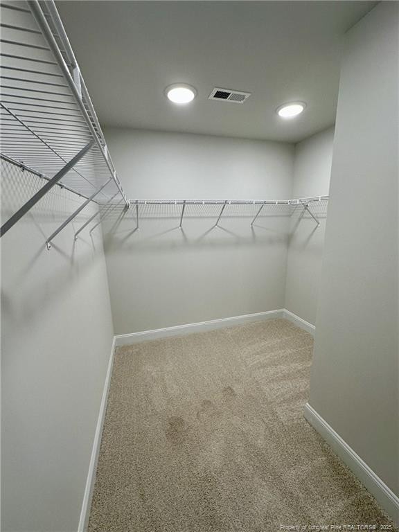 spacious closet featuring carpet flooring