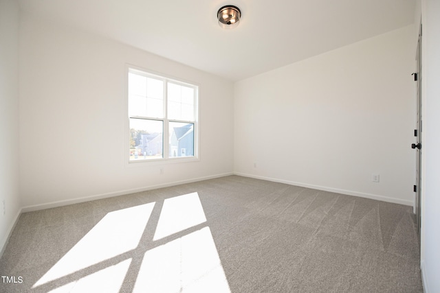 spare room with carpet