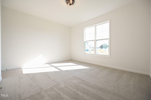 spare room with carpet