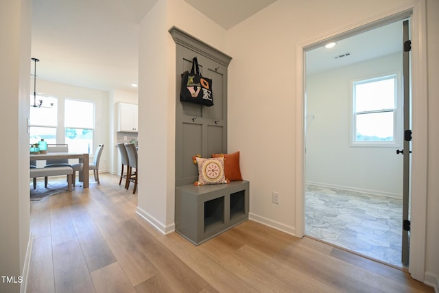 mudroom featuring light wood-type flooring and plenty of natural light