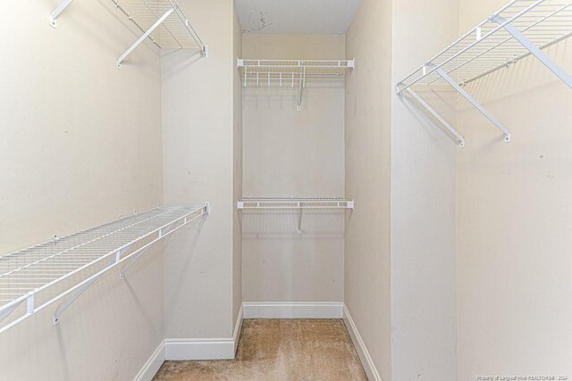 walk in closet featuring carpet flooring