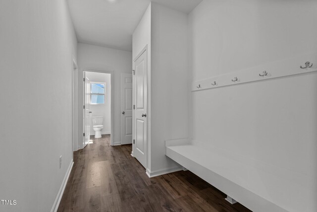 mudroom with dark hardwood / wood-style flooring