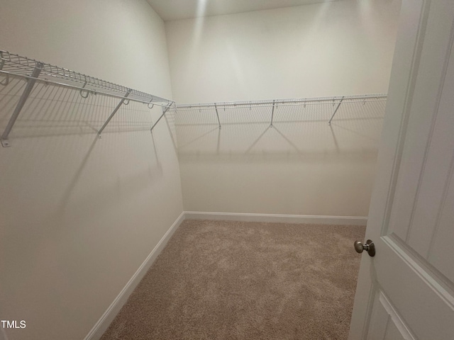 walk in closet with carpet floors