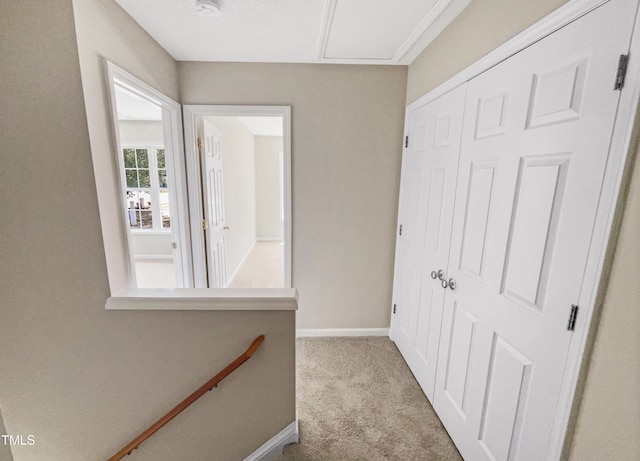 corridor featuring light colored carpet