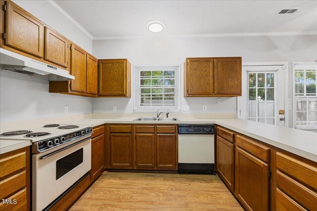 kitchen featuring light hardwood / wood-style floors, sink, white appliances, and crown molding