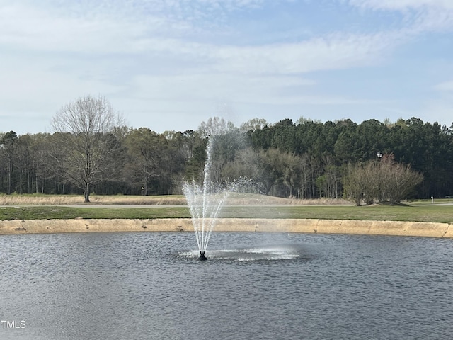 242 Sanderling Rd, Vass, NC 28394