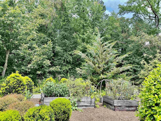 154 Swain St, Clayton, NC 27527 - view of yard