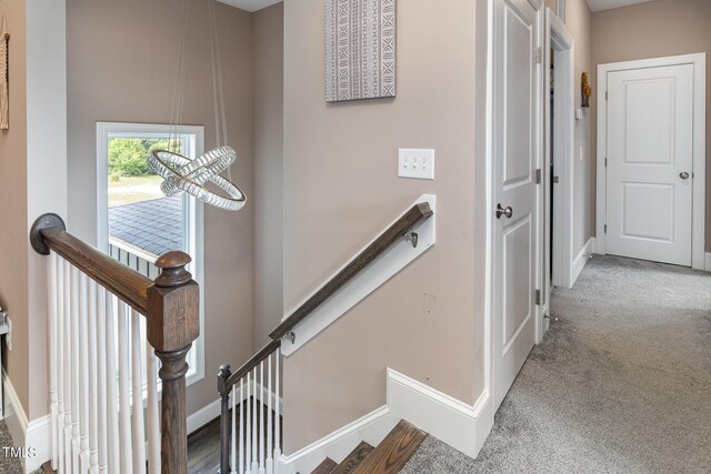 stairway featuring carpet flooring