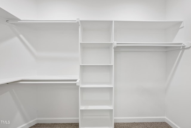 walk in closet featuring carpet flooring