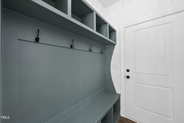 mudroom featuring dark hardwood / wood-style flooring