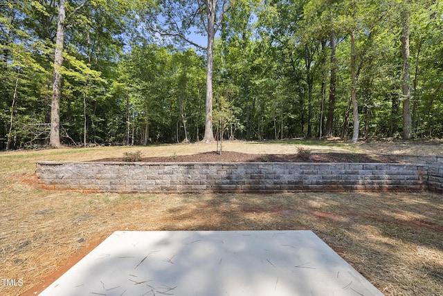 view of yard with a patio area