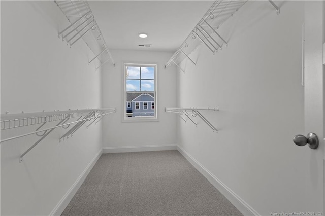 spacious closet featuring carpet floors