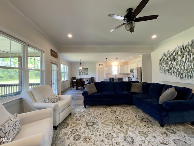 living room with ceiling fan, ornamental molding, and light hardwood / wood-style flooring