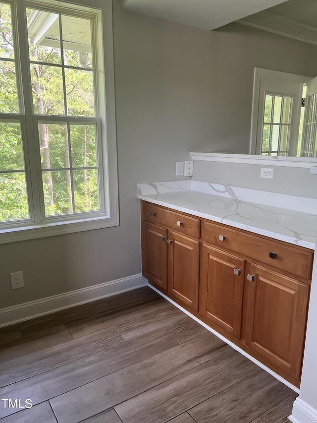 bathroom featuring hardwood / wood-style floors, vanity, and a healthy amount of sunlight