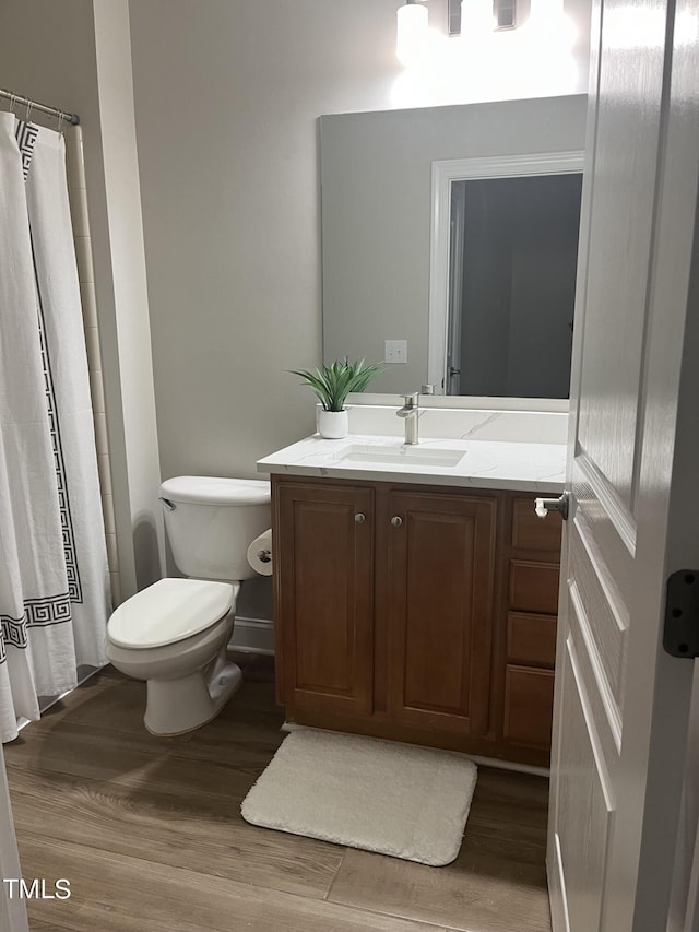 bathroom with vanity, toilet, and wood-type flooring