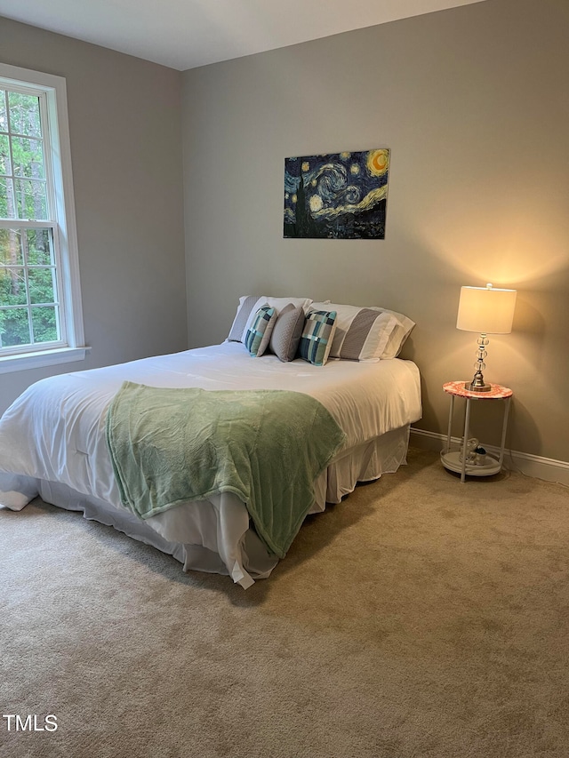 view of carpeted bedroom