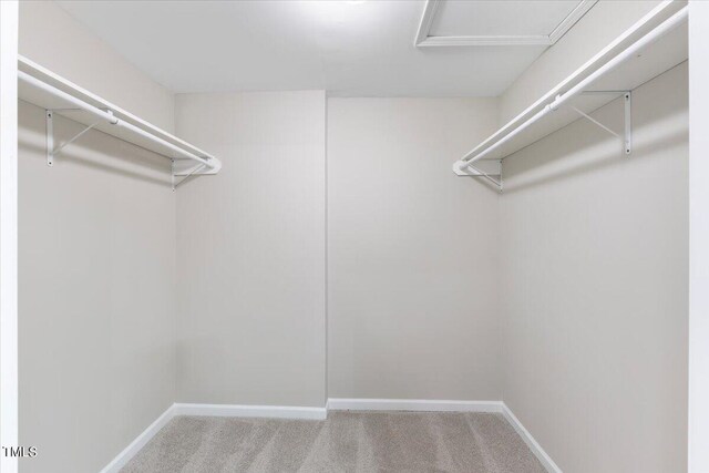 spacious closet with carpet floors