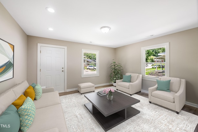 living room featuring light hardwood / wood-style flooring