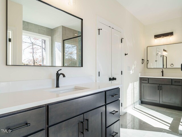 bathroom with vanity and walk in shower