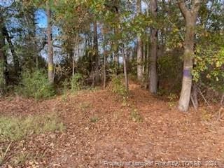 Beaver Dam Rd, Autryville NC, 28318 land for sale