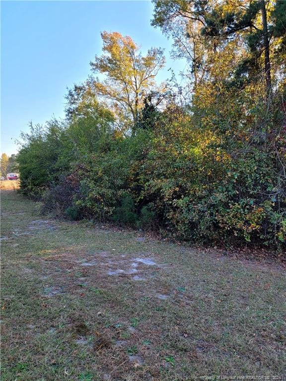 Listing photo 3 for Beaver Dam Rd, Autryville NC 28318