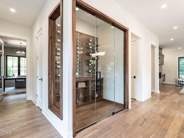 wine area with light wood-type flooring