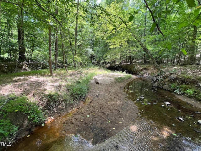 view of nature featuring a water view