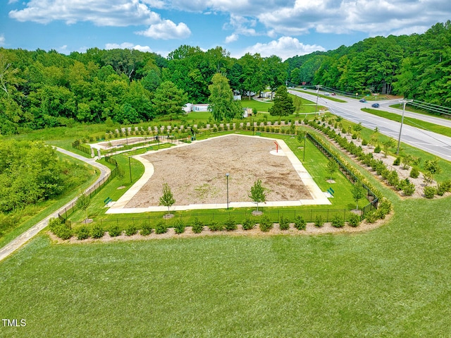 view of home's community with a lawn