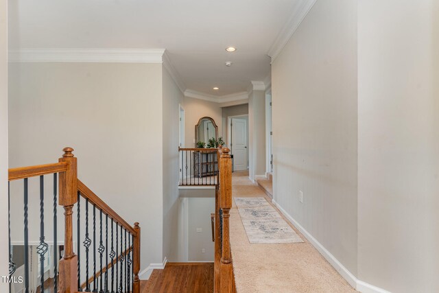 hallway featuring carpet flooring and crown molding