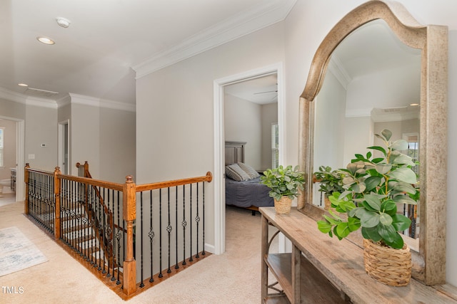 hallway featuring carpet and crown molding