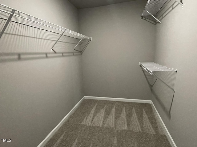 spacious closet with carpet flooring