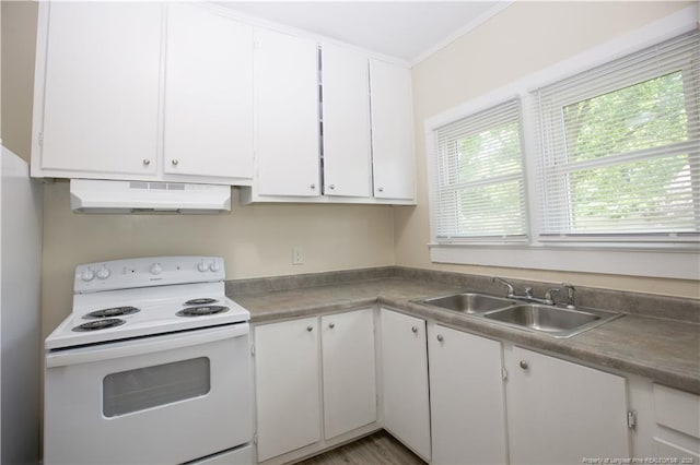 kitchen with a sink, ornamental molding, electric stove, under cabinet range hood, and white cabinetry