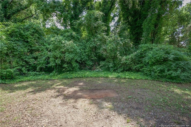 view of yard with a forest view