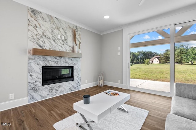 living room with crown molding, hardwood / wood-style flooring, and a fireplace