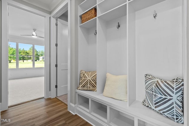 mudroom with wood-type flooring