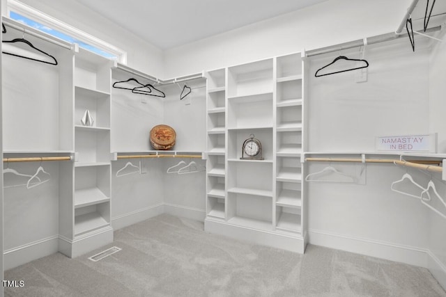 spacious closet with carpet floors