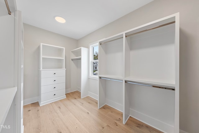 spacious closet with light wood-type flooring