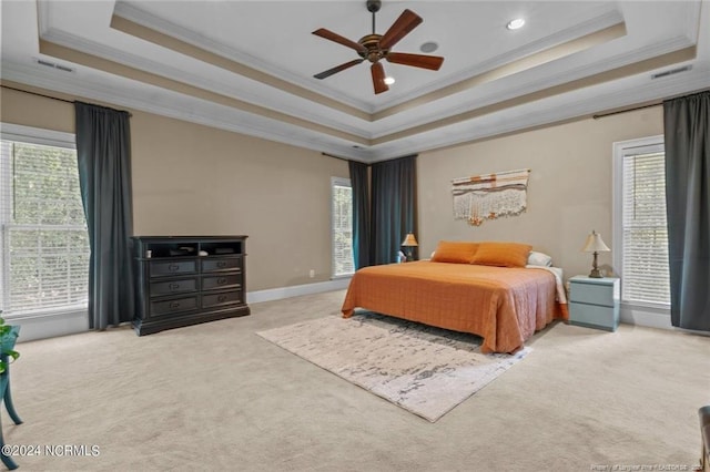 bedroom featuring a tray ceiling, carpet floors, and multiple windows