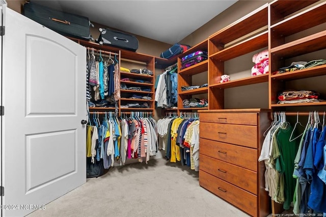 spacious closet with light carpet