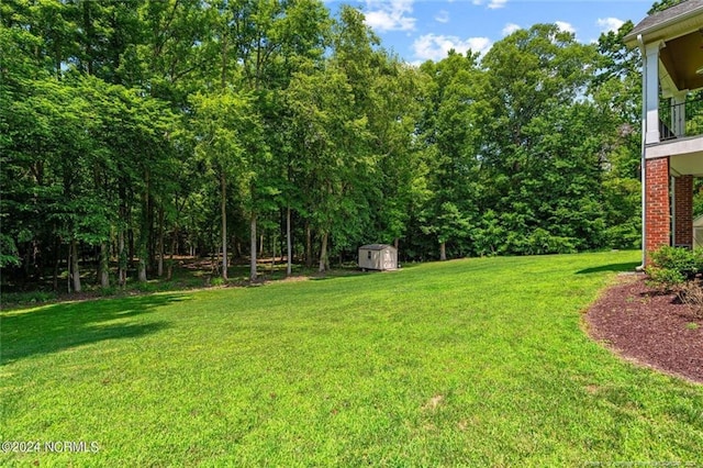 view of yard with a balcony and a storage shed