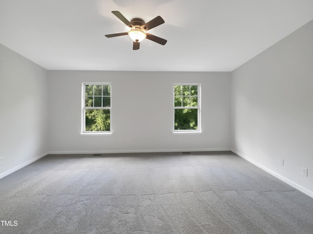 320 Gilman Ln Unit 110, Raleigh, NC 27610 - photo 7